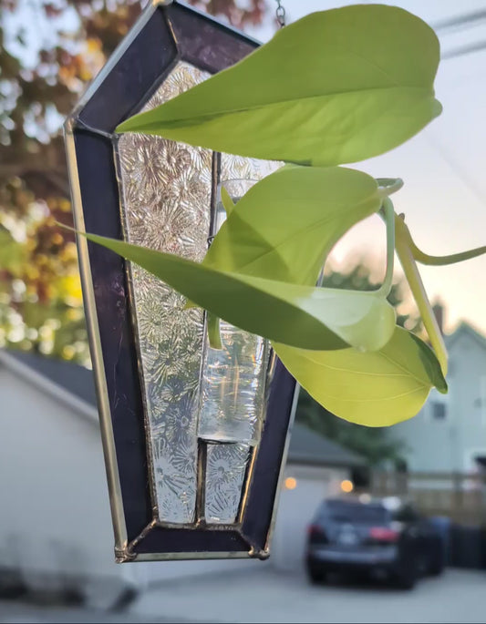 Stained glass sun catcher purple coffin propagation station