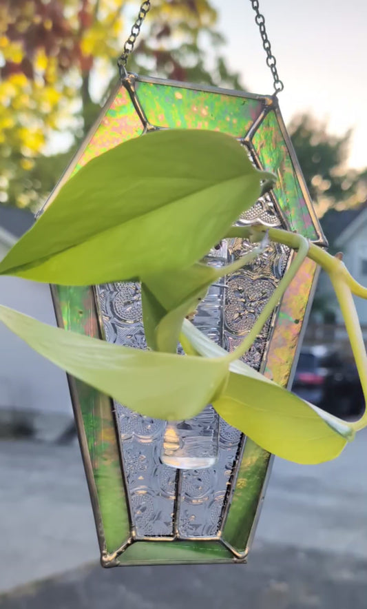 Stained glass sun catcher green coffin propagation station