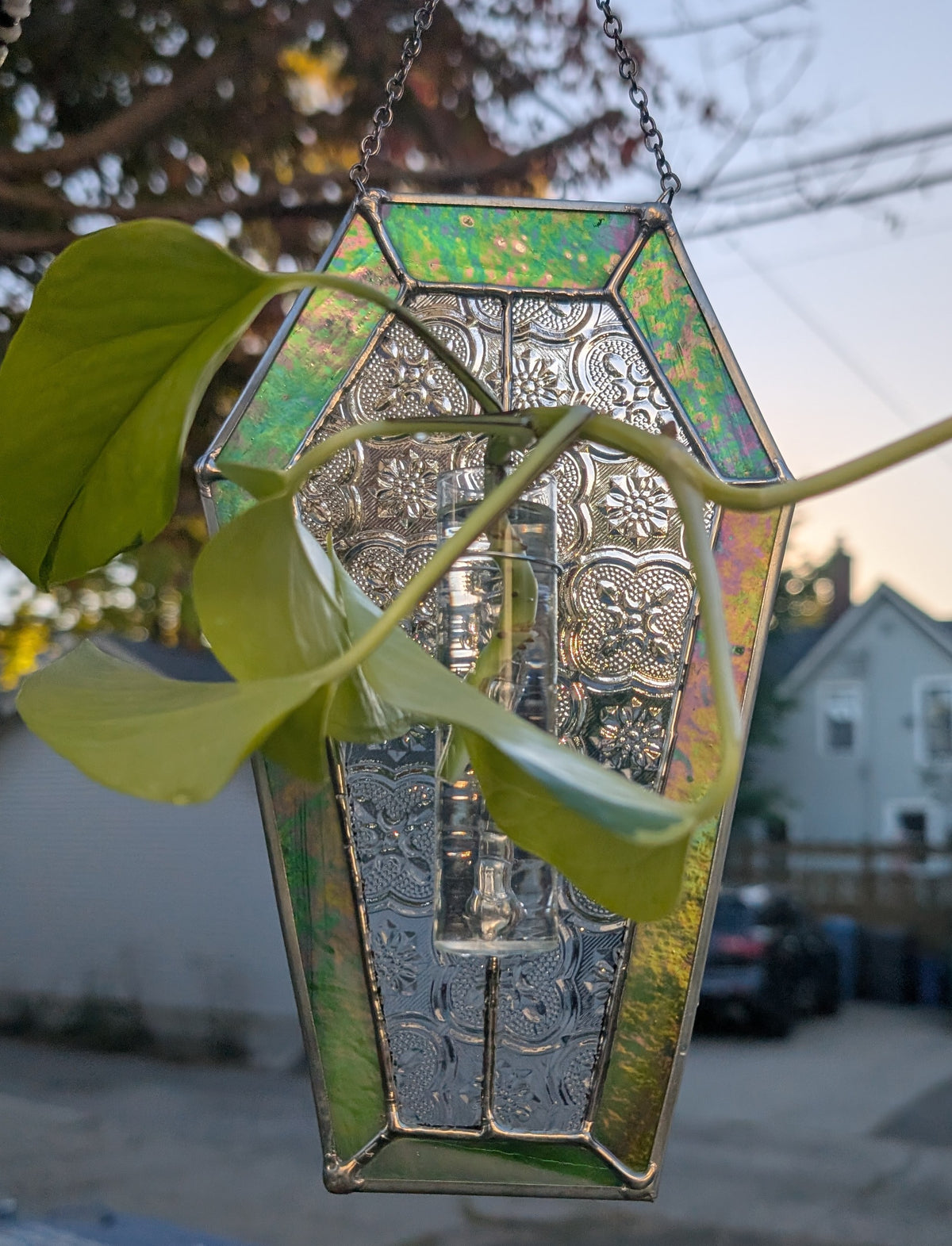 Stained glass sun catcher green coffin propagation station