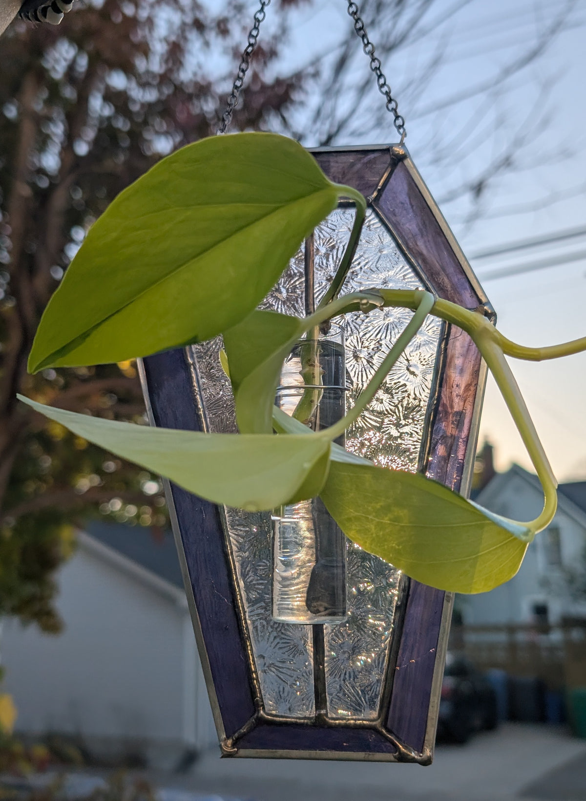Stained glass sun catcher purple coffin propagation station