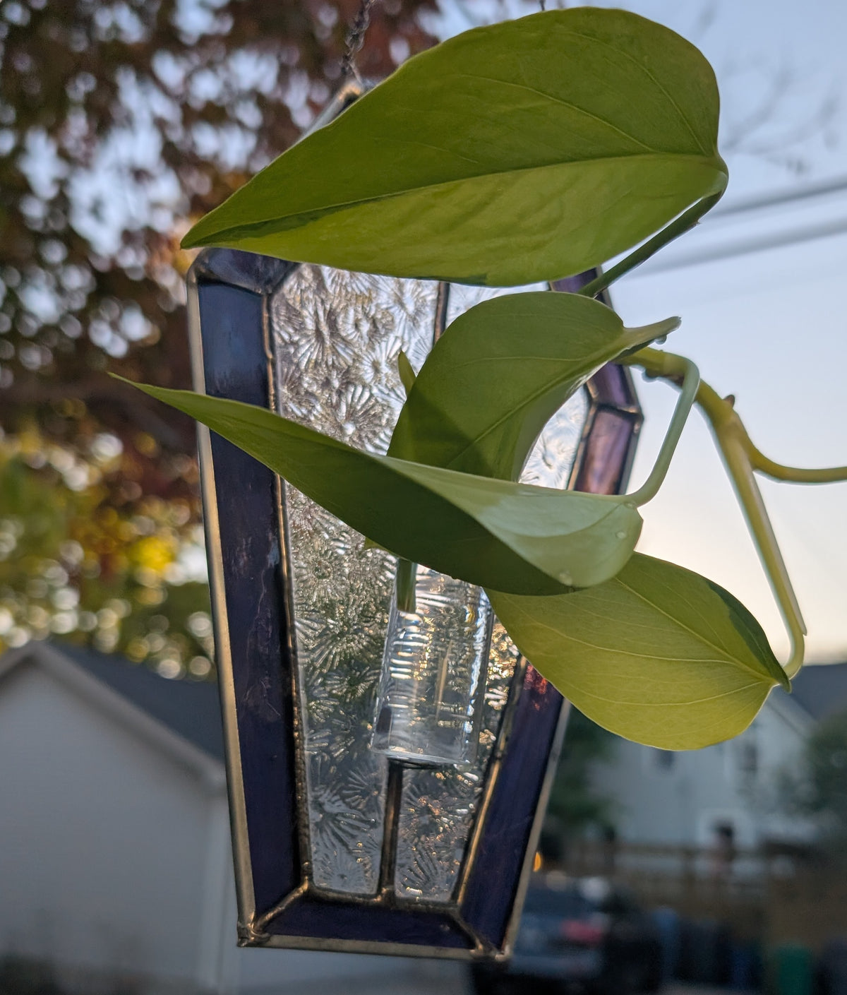 Stained glass sun catcher purple coffin propagation station