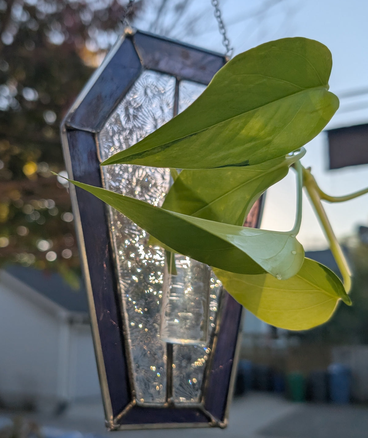 Stained glass sun catcher purple coffin propagation station